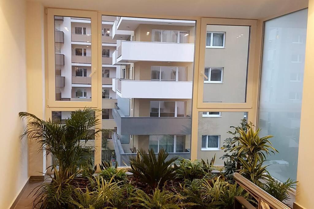 Wonderful Apartment Braşov Dış mekan fotoğraf