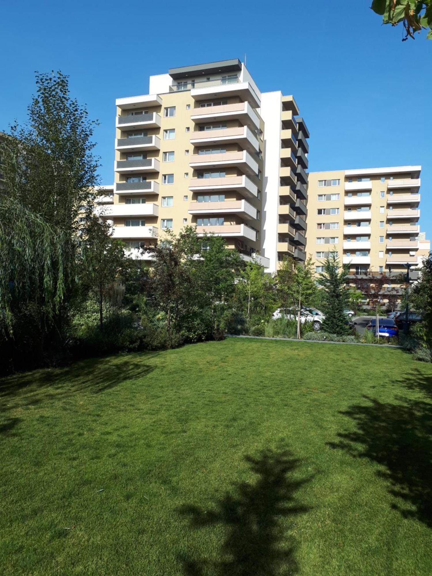 Wonderful Apartment Braşov Dış mekan fotoğraf