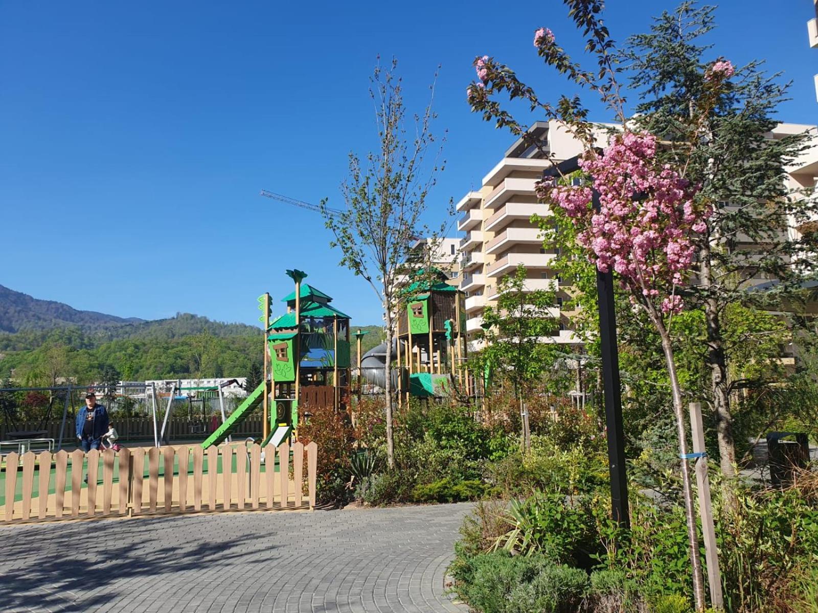 Wonderful Apartment Braşov Dış mekan fotoğraf